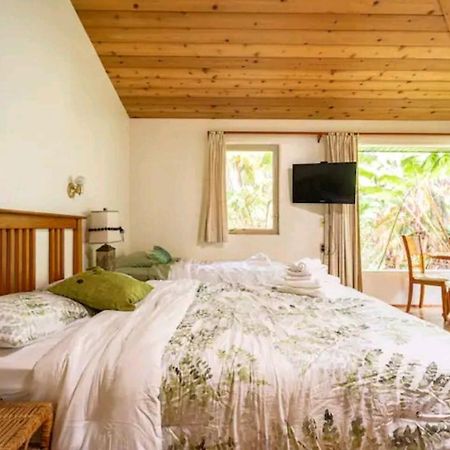 Kilauea Iki- Hale Kumu La'Au Apartment Волкейно Стая снимка