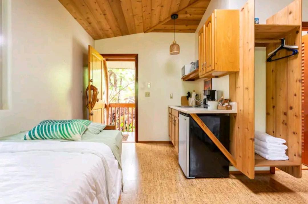 Kilauea Iki- Hale Kumu La'Au Apartment Волкейно Екстериор снимка
