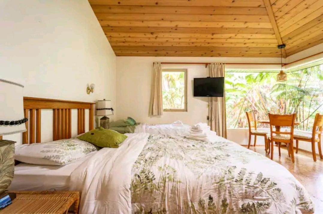 Kilauea Iki- Hale Kumu La'Au Apartment Волкейно Стая снимка